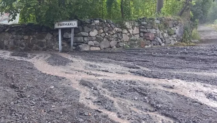 Artvin’de sağanak nedeniyle taşkın ve heyelanlar meydana geldi