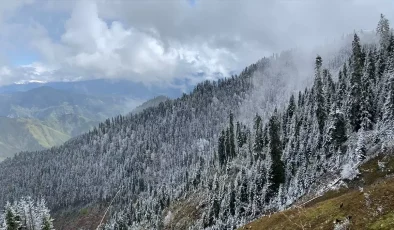 Artvin’de Kar Yağışı Yine Etkili Oldu