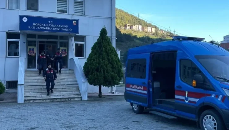 Borçka’da İzinsiz Orman Kesimi: Kooperatif Başkanı Gözaltına Alındı