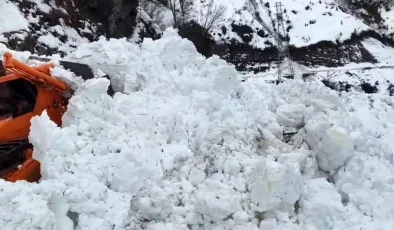 Artvin’de Çığ Faciası: Borçka-Camili Yolu Kapandı