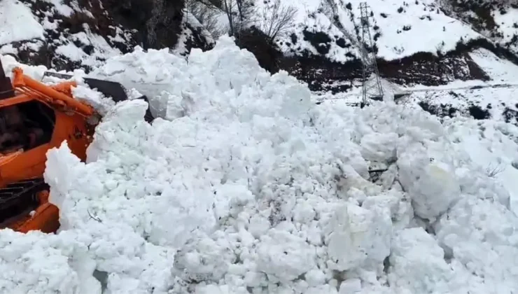 Artvin’de Çığ Faciası: Borçka-Camili Yolu Kapandı